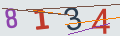 verifycode